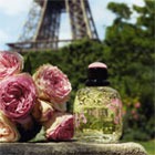    Yves Saint Laurent:   Paris Jardins Romantiques