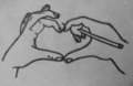 Heart in hands_