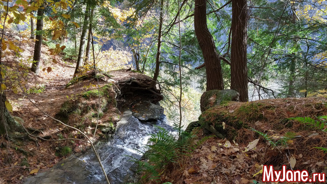 Letchworth State Park. USA.  2018.