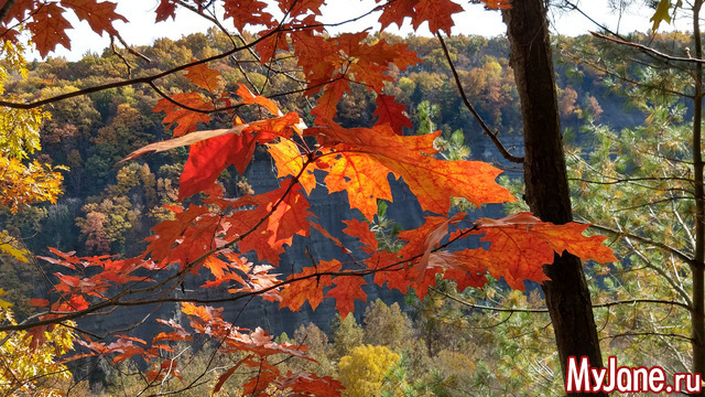 Letchworth State Park. USA.  2018.