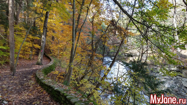 Letchworth State Park. USA.  2018.