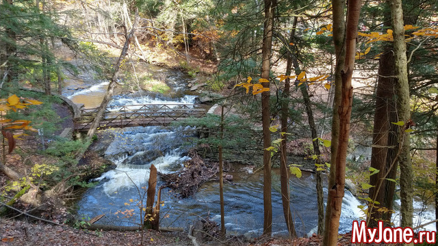 Letchworth State Park. USA.  2018.