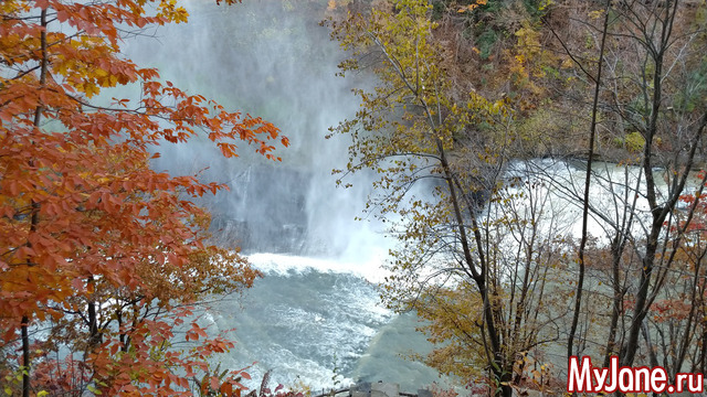 Letchworth State Park. USA.  2018.