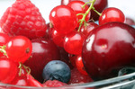Сезон ягод: время запасаться здоровьем
