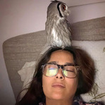 Сальма Хайек частенько медитирует с настоящей совой на голове