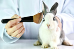 Garnier официально признан брендом, не тестирующим свою продукцию на животных