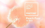 Pantone озвучил главный цвет 2024 года